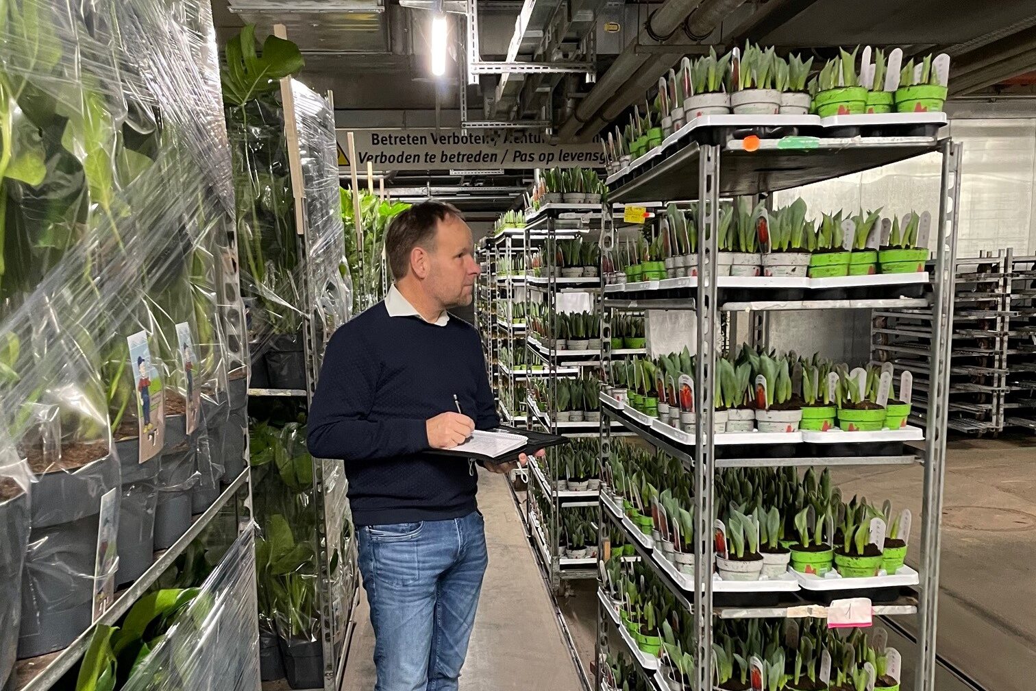 Plantas Germany – Plantas Germany