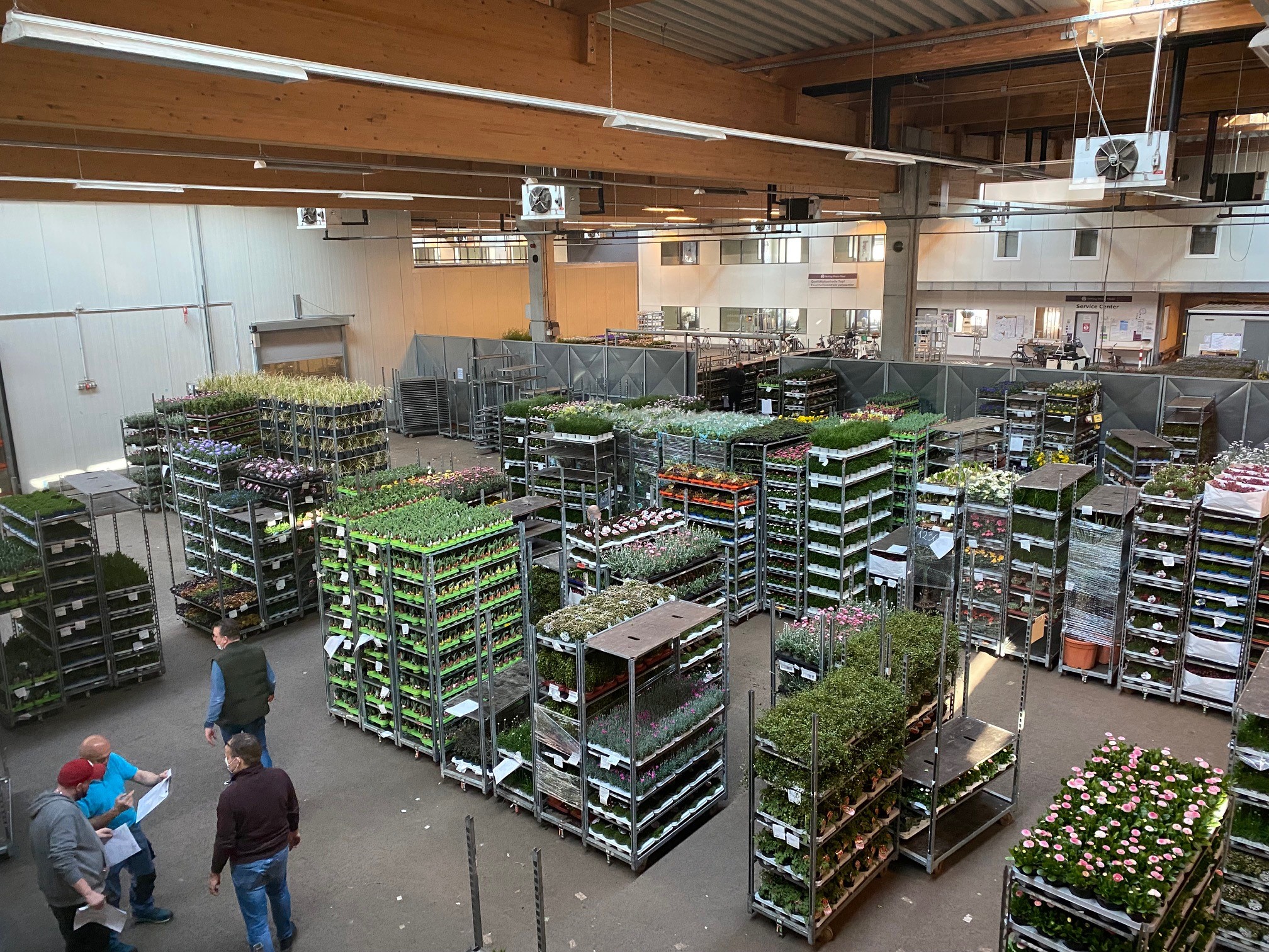 Plantas Germany – Plantas Germany
